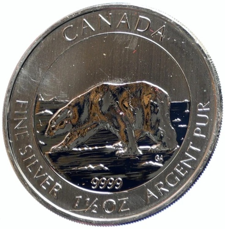 2013年 カナダ 英国 エリザベス2世 ポーラーベア ノルディック プルーフ シルバー 8ドル コイン i103926｜WORLD RESOURCE【KING店】