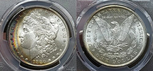 1880年 S モーガン銀貨 $1 PCGS MS 65 グレートクレセントトーン｜WORLD RESOURCE【KING店】