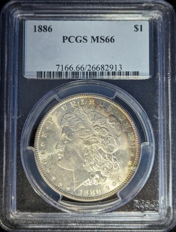 1886年 1ドル モルガン銀貨 PCGS MS66 26682913｜WORLD RESOURCE【KING店】 168,850円