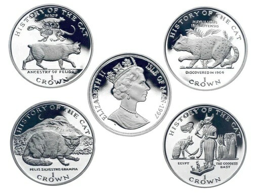 【送料無料】【売価の半額】巫山の夢 麦焼酎 古酒 25年 限定5000本（シリアルナンバー入り）売価25000円 木箱は未開封 2025年最新限定焼酎の人気アイテム - メルカリ