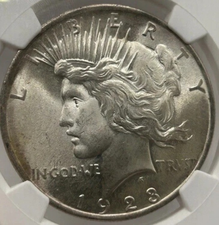 1923年 1ドル ピースダラー シルバー NGC MS66