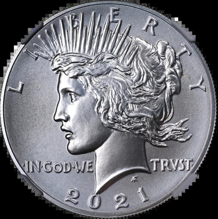2021年ピースシルバーダラーNGC MS70ブラウンラベル - 在庫あり｜WORLD RESOURCE【KING店】