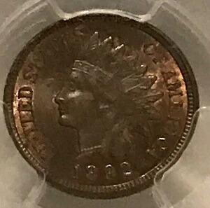1892年インディアンヘッドセント、未使用PCGS MS64 RBレッドブラウン 146,850円