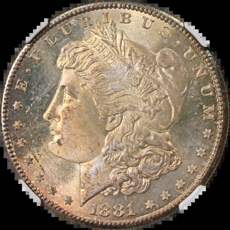 1881-S モルガン銀貨 NGC MS66 - トーニング