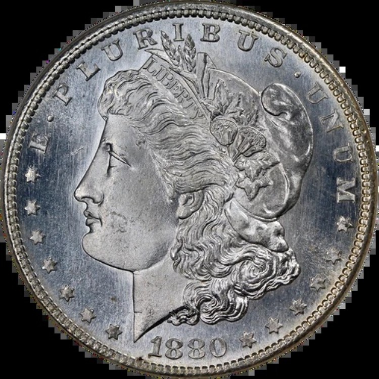 1880-S モルガン銀貨 NGC MS66 ブラストホワイト 素晴らしい外観