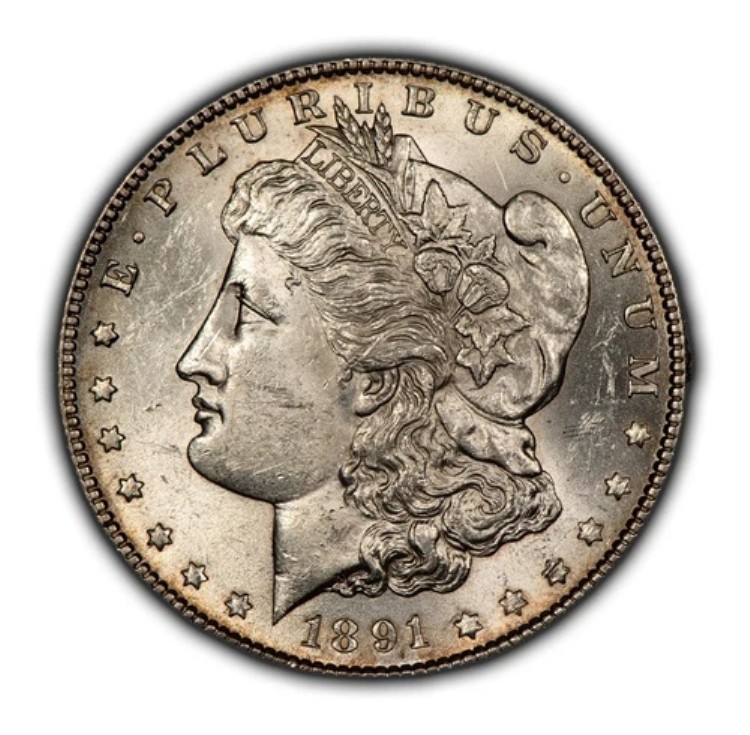 1891-S 1ドルモルガン銀貨 - 強いフルラスター - BUセミキーデート - B3787｜WORLD RESOURCE【KING店】 146,850円