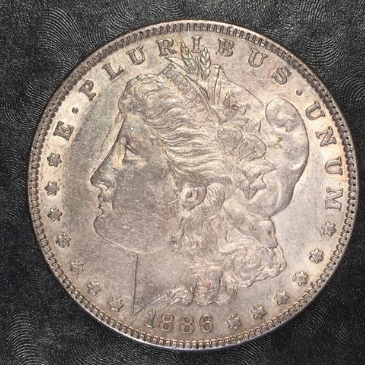 1886年モルガン銀貨 - 高品質スキャン #E158