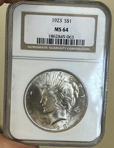 1923 年 ピース ダラー 1 ドル NGC MS64 - シルバー - ブラウン ラベル - 美しい光沢。