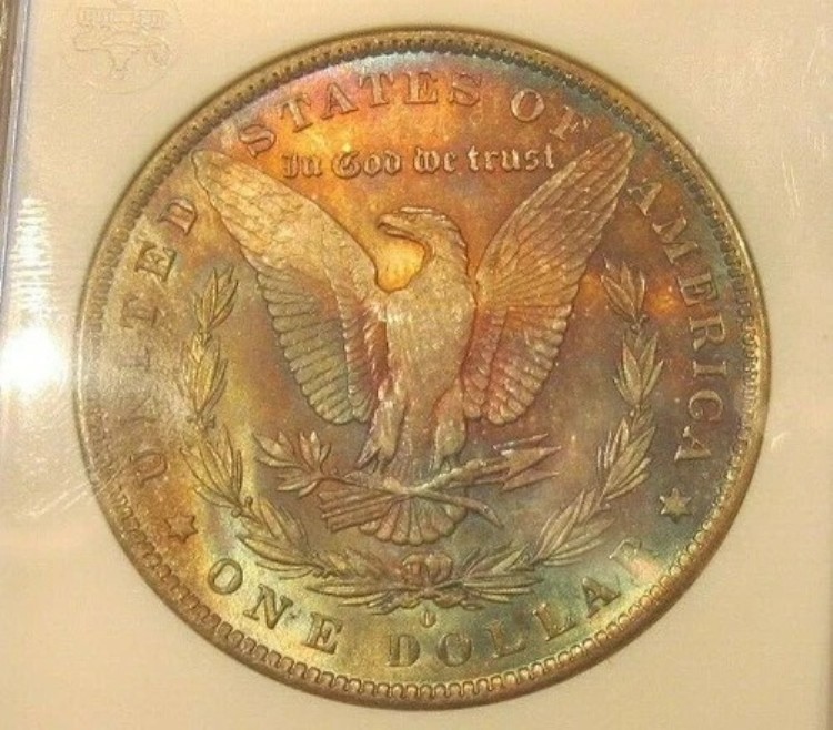 1884年 O モルガン銀貨 オールドANAホルダー MS 64 モンスタートーニング リバース 4272