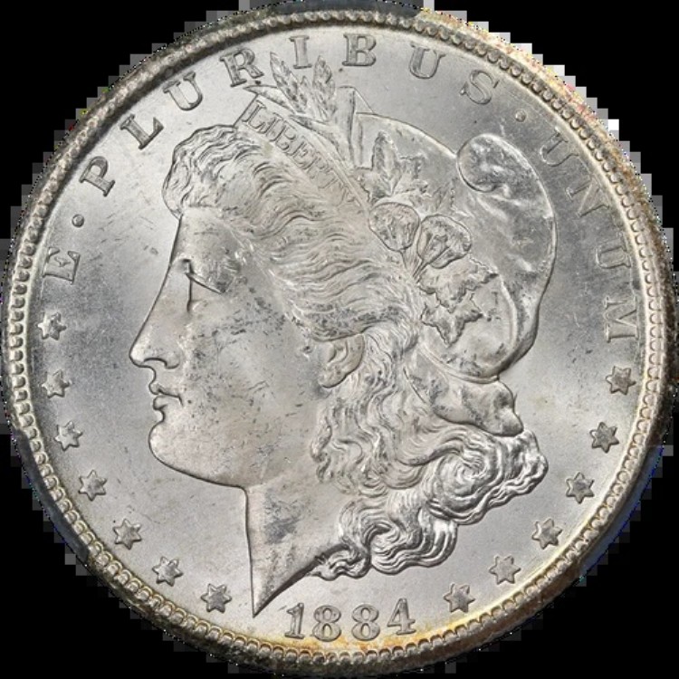 1884年-CC モルガン銀貨 CAC グレーディング MS63 素晴らしい外観、良好な打刻｜WORLD RESOURCE【KING店】