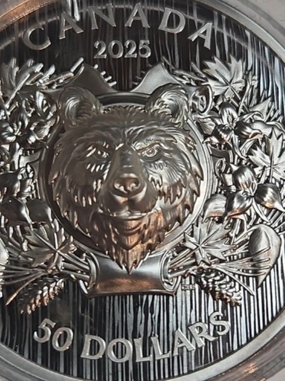 HERALDIC BEAR エクストラハイレリーフ 2025 カナダ .9999 純銀 $50 コイン Low 証明書番号｜WORLD RESOURCE【KING店】