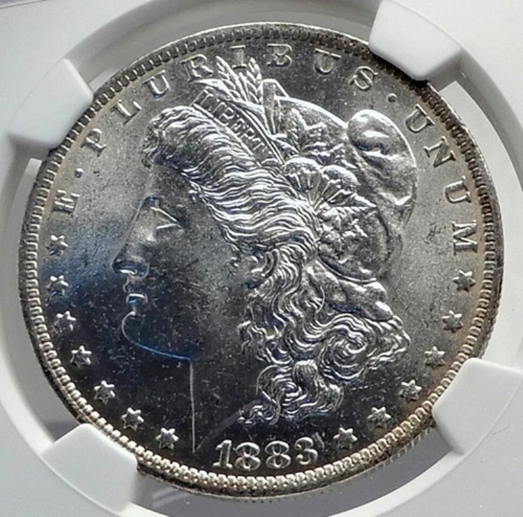 1883年 アメリカ合衆国 シルバー モルガン USドルコイン イーグル NGC MS i79854