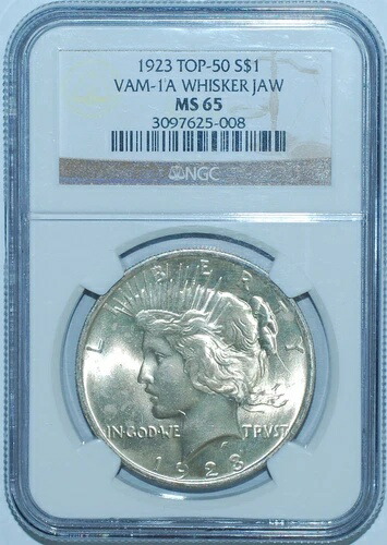 1923年 NGC MS65 VAM-1A トップ50 ウィスカージョーピース シルバーダラー