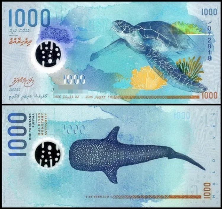 楽天市場】モルディブ 100 ルフィア 2018、UNC、P-29、ポリマー : 世界