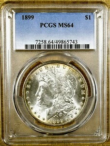 1899年 PCGS MS64 VAM 6-A ピットド DO モルガン・ダラー