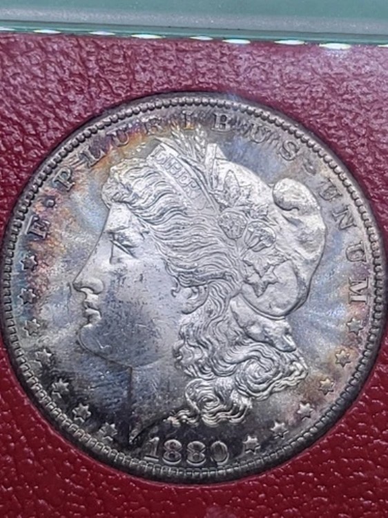 1880年 S $1 モルガン・ダラー レッドフィールド・コレクション パラマウント（レッドウッド・コレクション） トーン