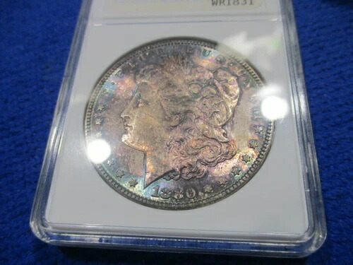 1880 S モーガン レア ANACS 初代 Ms64 VAM 2xDATE LG S MM REV PL/DMPL 2xTONED