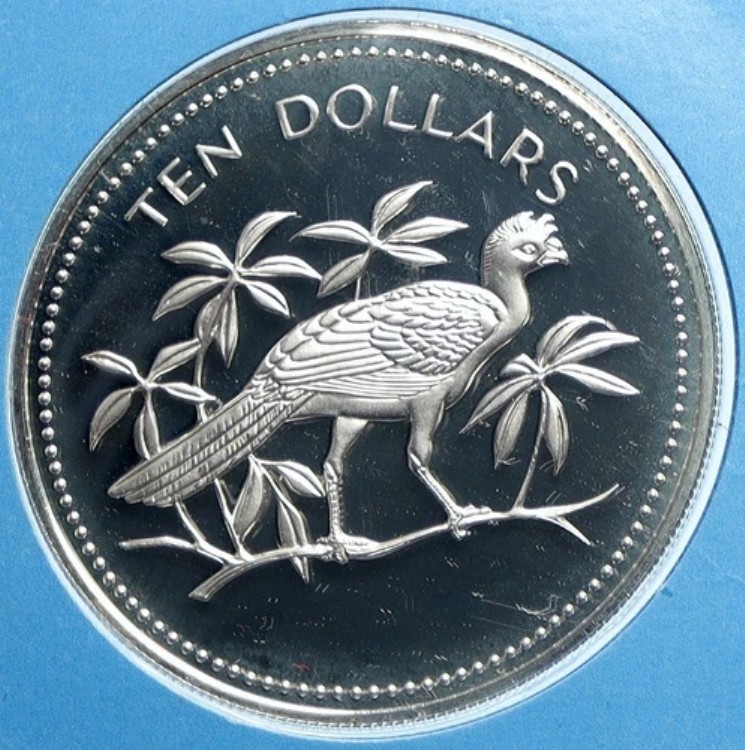 1976年 ベリーズ 鳥類 オオホウカンチョウ ヴィンテージ プルーフ シルバー 10ドル コイン i113201|WORLD RESOURCE【KING店】