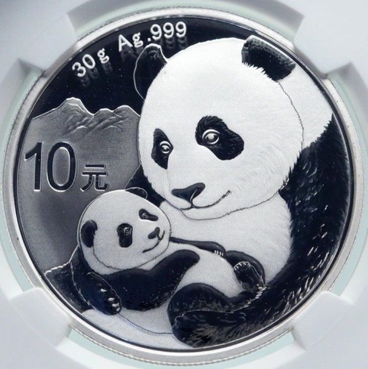 2019年 中国製 パンダの母と子 プルーフシルバー 10元 中国コイン NGC MS70 i86685|WORLD RESOURCE【KING店】