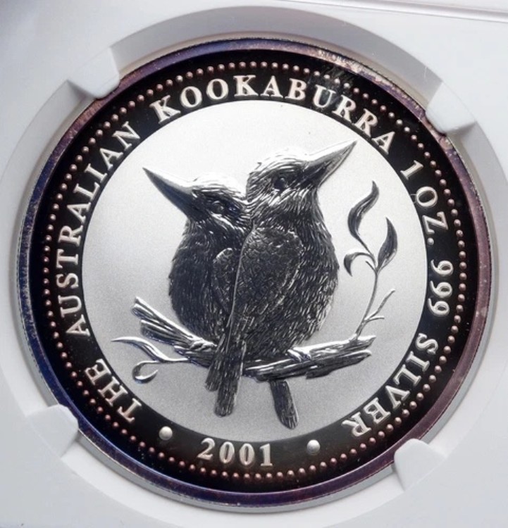 2001年 オーストラリア ワライカワセミ 1オンス 樹木 希少タイプ シルバードルコイン NGC i89265｜WORLD RESOURCE【KING店】