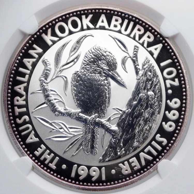 1991年 オーストラリア ワライカワセミ 鳥 木 銀貨 5ドル オーストラリアコイン NGC i89276|WORLD RESOURCE【KING店】