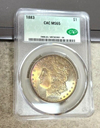1883年モルガン・ダラー - 極上の色調 - MS65 - CAC - 非現実的な魅力