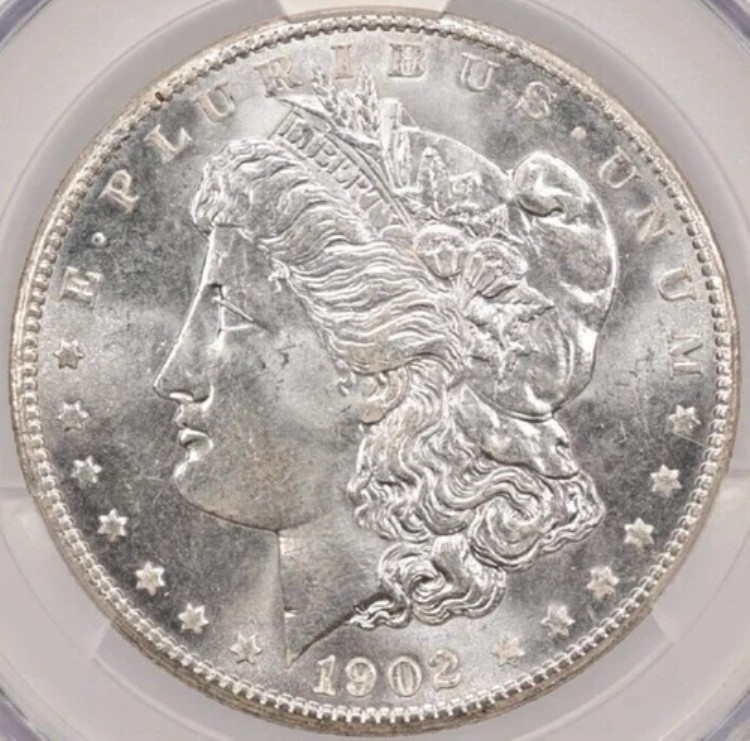1902-O 1ドル モルガン・ダラー CACG MS66 -- 非常に光沢のあるブラストホワイトの宝石