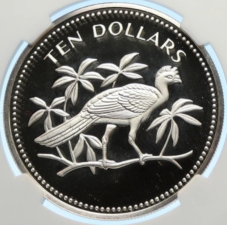 1974年 ベリーズ 鳥類 オオハナガラス オールドプルーフ シルバー 10ドルコイン NGC i106389｜WORLD RESOURCE【KING店】