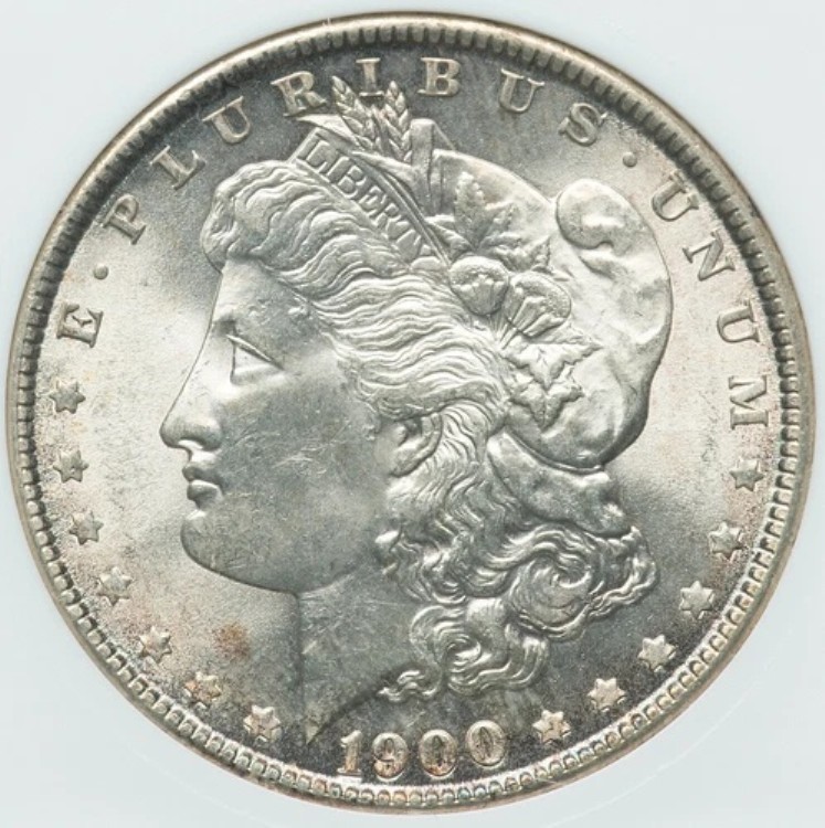 1900年モルガン銀貨、VAM-4、ANACS MS-64！希少なVAMバリエーション！希少度 - 3！｜WORLD RESOURCE【KING店】