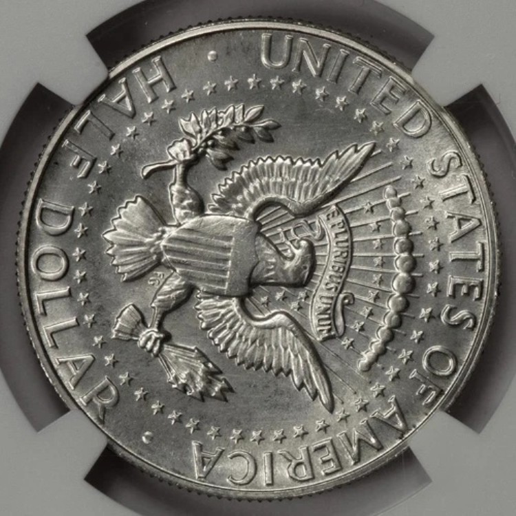 1965年SMS NGC MS66 回転ダイス ケネディ ハーフダラー ミントエラー 視覚的に素晴らしい