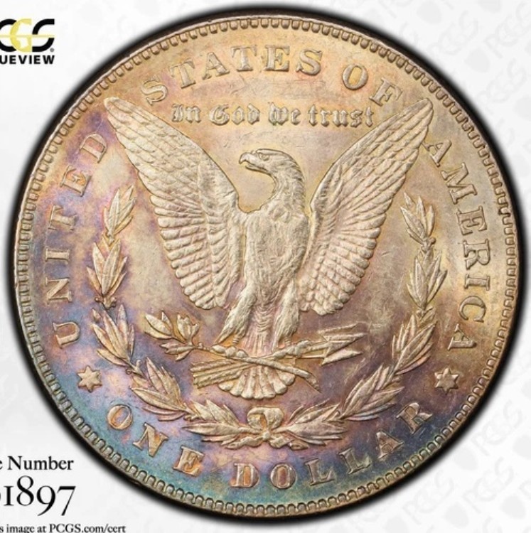 1878年製 モルガン銀貨 1ドル 7TF 尾羽根 PCGS AU 53 裏面