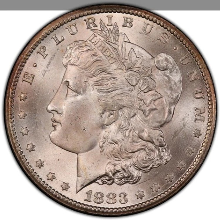 1883-CC モルガン銀貨 PCGS MS65 - - フロスティ＆ブラストホワイト