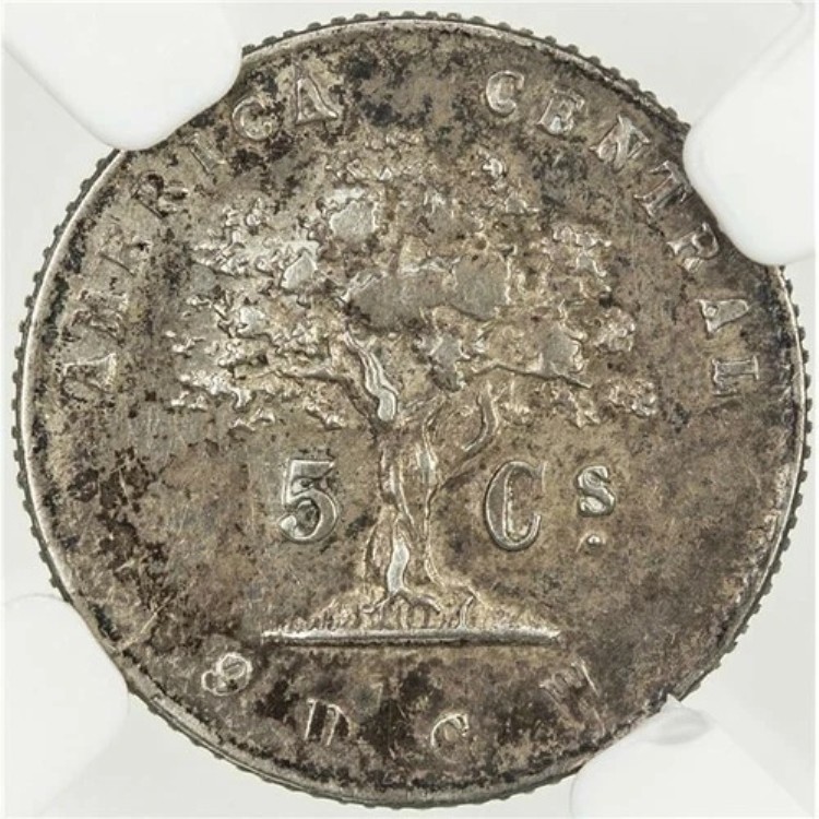 コスタリカ：共和国 5センタボ 1875 GW、NGC AU 50、KM# 110 銀貨｜WORLD RESOURCE【KING店】