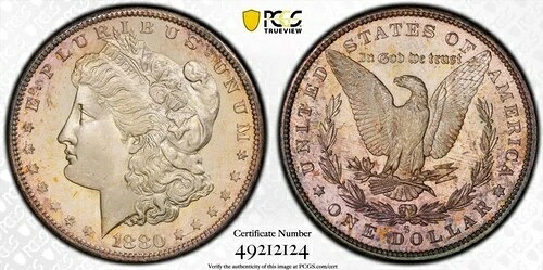 1880年代 モーガン 1ドル PCGS MS66+PL プルーフライク ブラックホワイトカメオ mikesartifacts ビデオ|WORLD RESOURCE【KING店】