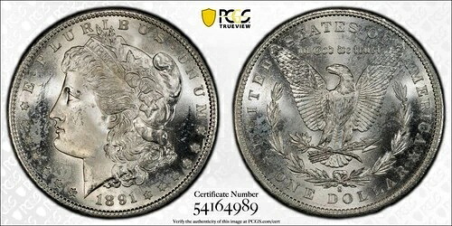 1891-S モルガン銀貨、MS64、PCGSゴールドシールド(10580)|WORLD RESOURCE【KING店】