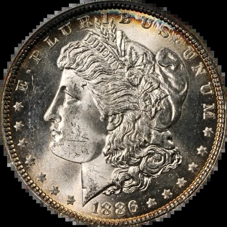1886-P モルガン銀貨 NGC MS64 - トーニング