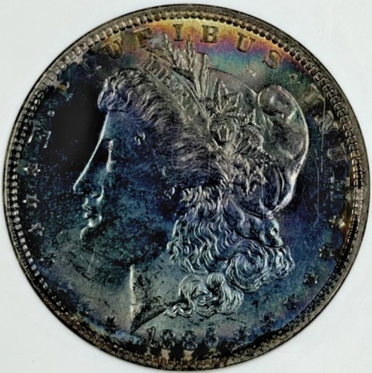 1886-P 1ドル モルガン・ダラー NGC MS63 - 見事なシアンとマゼンタの周辺部トーニング｜WORLD RESOURCE【KING店】