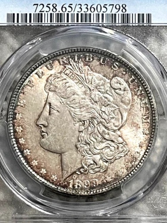 1899年 モルガン銀貨 - PCGS MS 65 PCGS認定 33605798