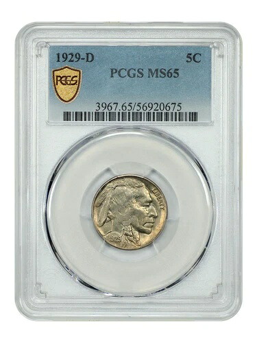 1929-D 5C PCGS MS65 - バッファローニッケル