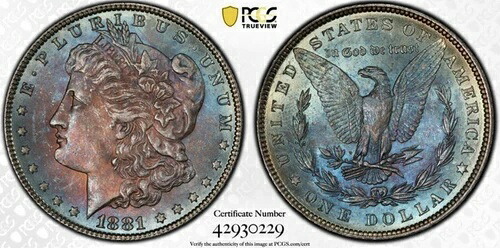 1881年 モルガン銀貨 MS65 PCGS モンスタートナー