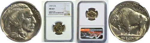 1929-S 5C バッファローニッケル NGC MS-66+|WORLD RESOURCE【KING店】