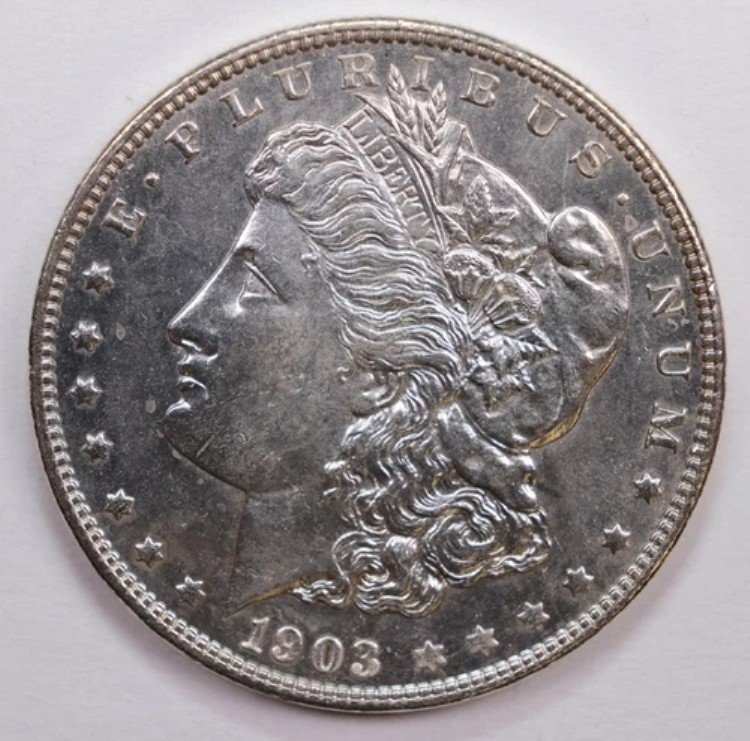 1903年モルガン銀貨、ミントステート、プルーフ類似、店頭販売番号：DR0630｜WORLD RESOURCE【KING店】