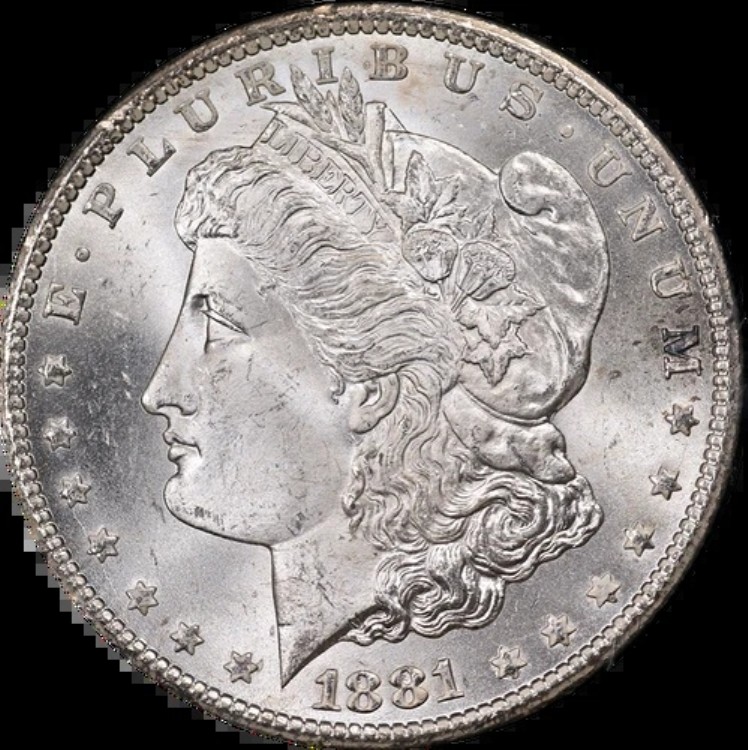 1881-CC GSA モルガン銀貨 ANACS MS65 ブレイジングホワイトジェムストロングストライク