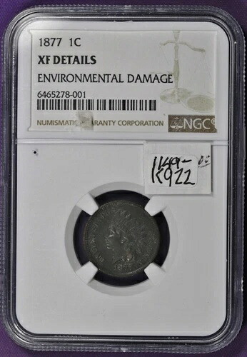 1877年製インディアンヘッド・セント。NGCホルダー入り。XF詳細。K922｜WORLD RESOURCE【KING店】