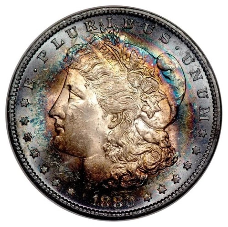 1880-S モルガン・ダラー S$1 NGC ファッティ MS63 (CAC)｜WORLD RESOURCE【KING店】 415,305円