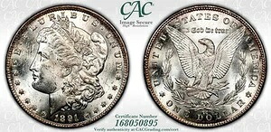 1891年 CC モーガン シルバードル スピッティングイーグル VAM3 CACG MS62｜WORLD RESOURCE【KING店】 415,305円