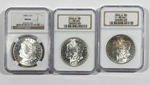 3枚 MS 66 モルガンドル。S ミント、日付入り。NGC MS 66。｜WORLD RESOURCE【KING店】