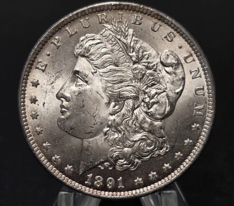 Bu Unc 1891 CC モルガン シルバー ダラー レア US コイン Vam 3 スピッティング イーグルトーン