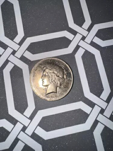1923年自由銀貨平和ドル｜WORLD RESOURCE【KING店】 432,630円