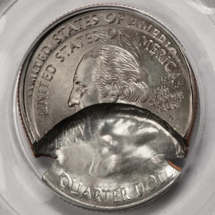 2000年 PCGS MS65 ダブルストラックインデントマッシュルーム ニューハンプシャー クォーターミント エラーワオ